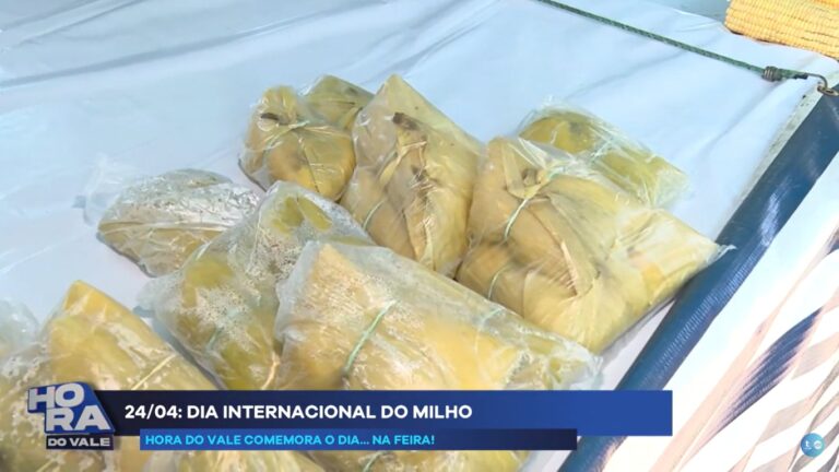 Dia do Milho: grão versátil é base para desenvolvimento financeiro