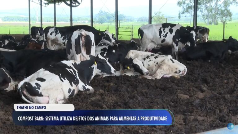 "Thathi No Campo" estreia com episódio sobre compostagem