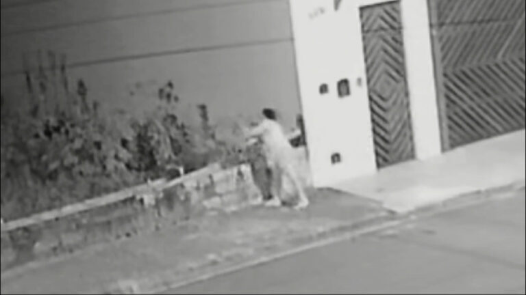 3 filhotinhos machos foram 'jogados' por mulher em Jundiaí: polícia procura por mulher.