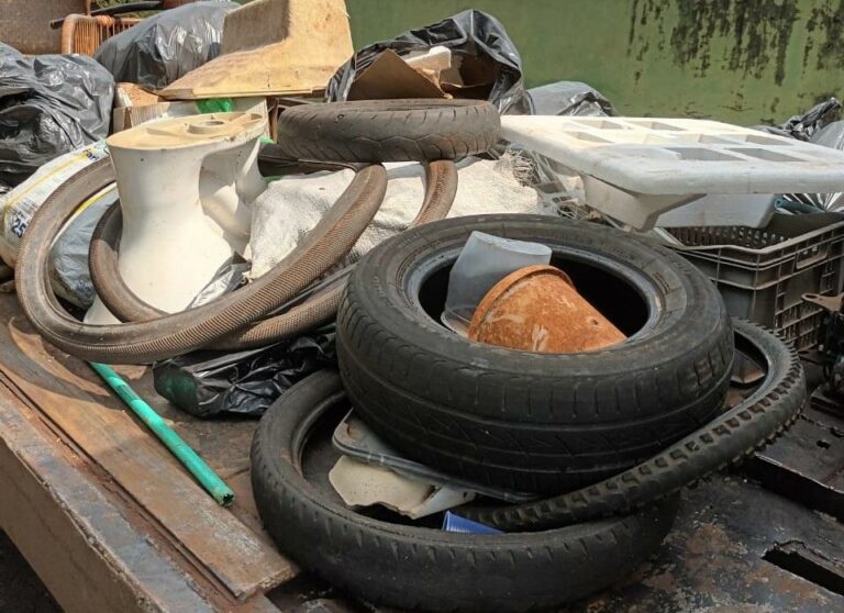 Brinquedos, bandeja da geladeira e mais: veja locais da sua casa que podem ser criadouros do Aedes