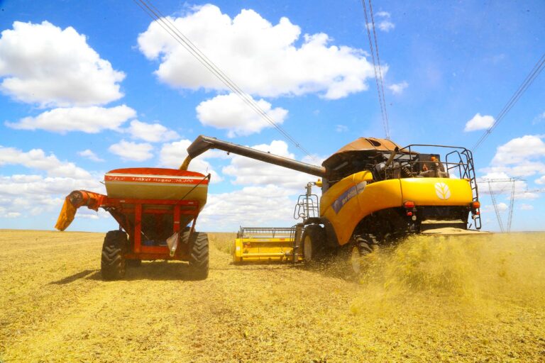 Desenvolve SP oferece crédito com taxas e condições especiais para o agronegócio