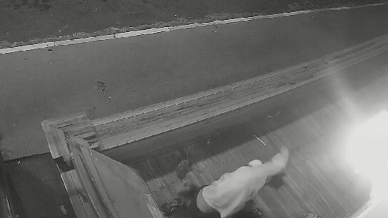 Nas imagens do circuito de segurança de um bar que fica no Bairro Nova Campinas em Campinas é possível ver o homem dando vários socos no animal.