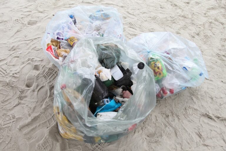 Ação de limpeza retira mais de 4 mil resíduos de praia de Santos