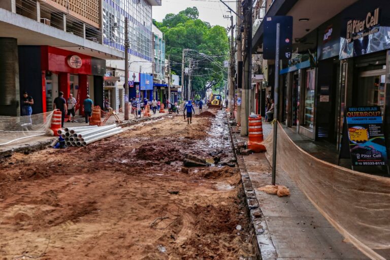 Acirp: Apenas 1 de cada 4 imóveis no Centro tem árvore na fachada