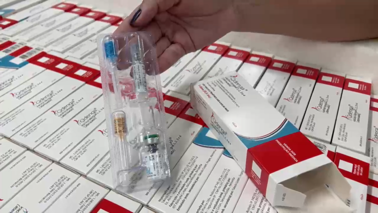 Vacina contra a dengue deve começar a ser aplicada nesta terça-feira (7) no Vale