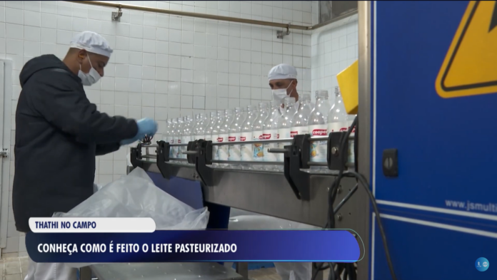 Saiba como é feito o leite pasteurizado