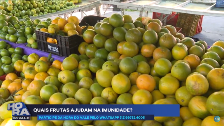 Conheça alimentos que auxiliam na imunidade