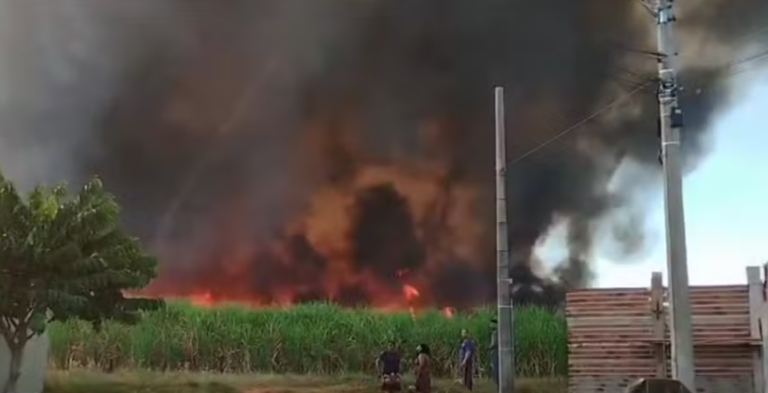 Canavial de Tanabi é atingido por incêndio de três horas