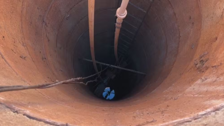 Cachorro é salvo após cair em poço de cerca de 20 metros de profundidade em Araçatuba