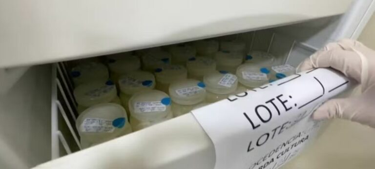 Bancos de Leite Humano do interior de SP operam com metade do número ideal de doadoras