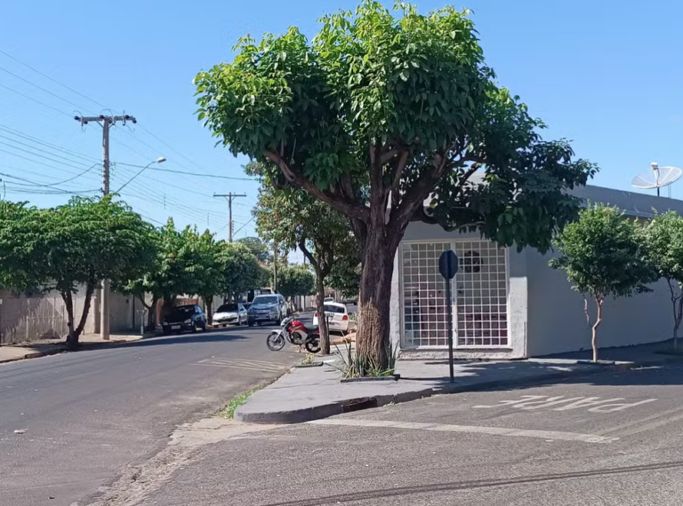 Criança de cinco anos é deixada sozinha em ponto de ônibus em Buritama