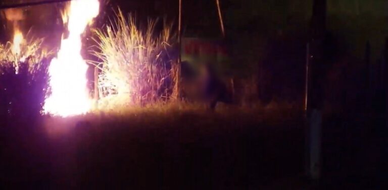 Homem é preso após atear fogo em terreno; alegou que sente prazer em queimar coisas