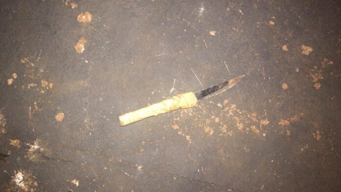 WhatsApp Image 2024-05-13 at 11.20.12