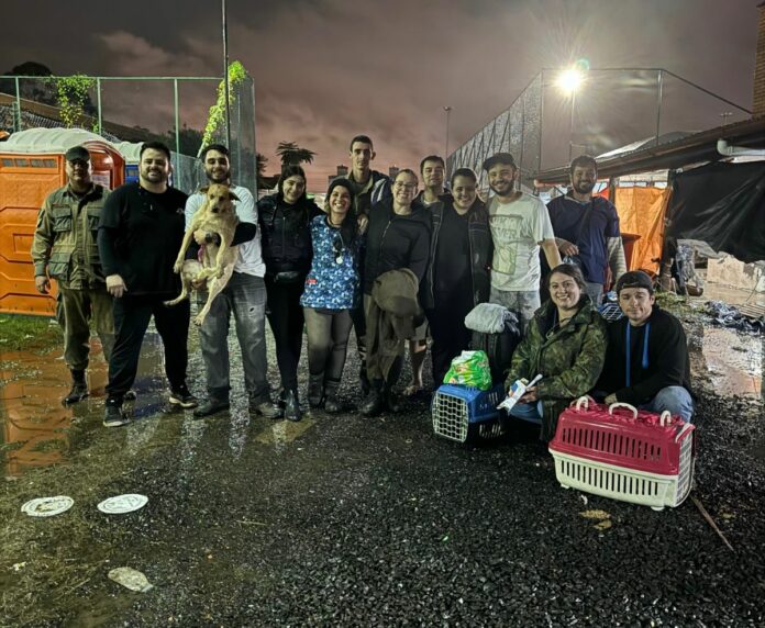 Veterinários de Taubaté adotam cães resgatados das enchentes de Canoas/RS
