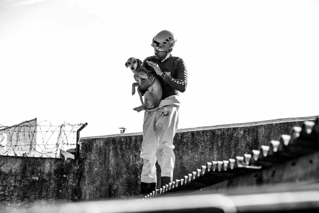 Veterinários de Taubaté adotam cães resgatados das enchentes de Canoas/RS