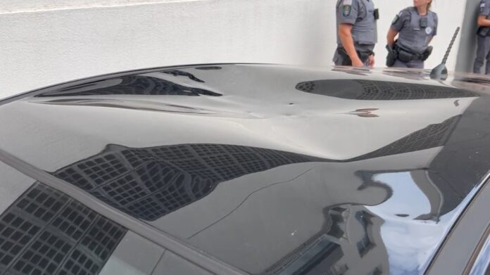 Cachorro cai do 18º andar de prédio e atinge carro em Campinas