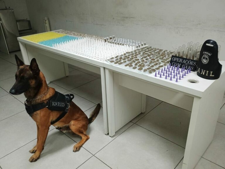 Guarda encontra mais de 2 kg de drogas abandonados em área de mata