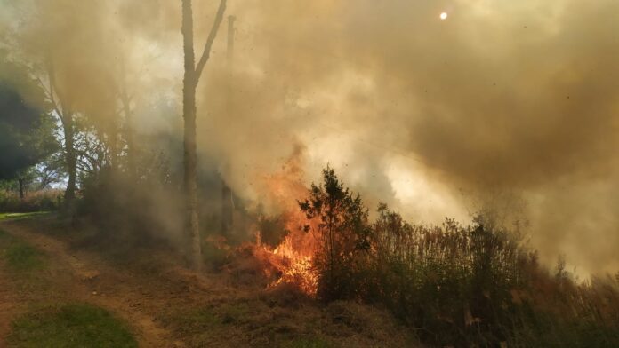 incêndio de 40 mil m² em santo antônio do pinhal