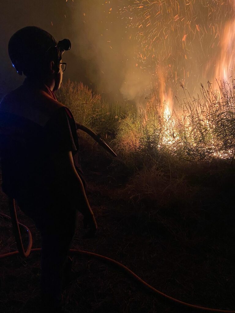 incêndio de 40 mil m² em santo antônio do pinhal