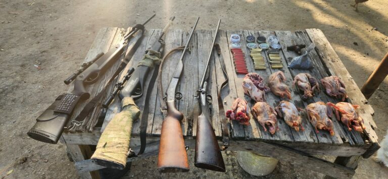 Homem é multado por armazenar aves silvestres abatidas em caça