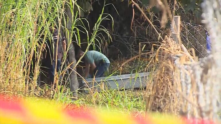 Moradora encontra corpo com perfurações de disparos em Jaguariúna