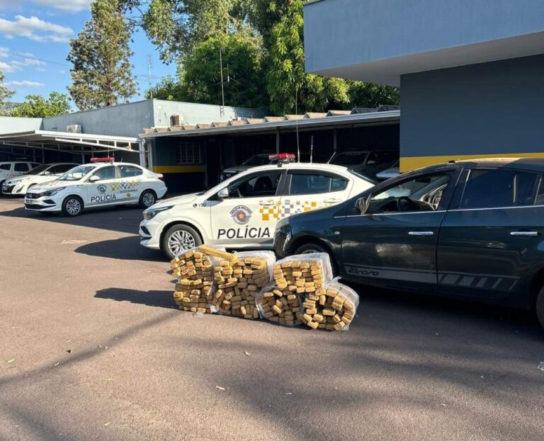 Adolescente é apreendido com mais de 200 quilos de maconha em Araçatuba