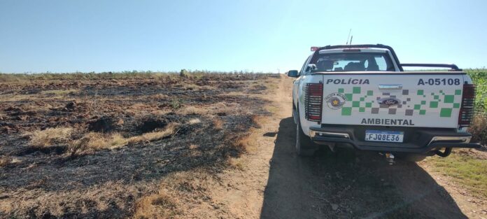 Polícia Ambiental realiza operação contra queimadas nas margens de rodovias Polícia Ambiental realiza operação contra queimadas nas margens de rodovias