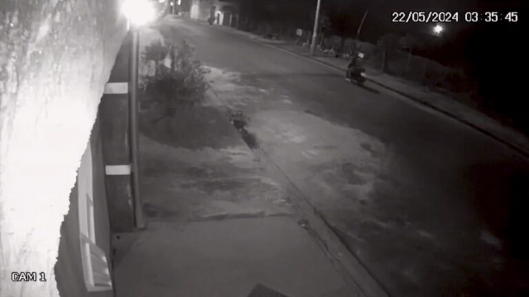 Câmeras de segurança flagram momento em que suspeito de matar vigilante foge