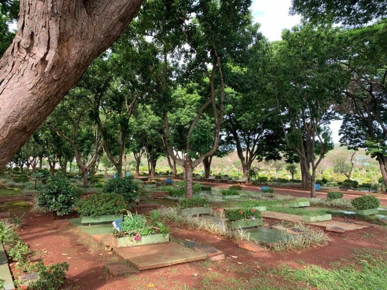 Só em 2025, 46 crianças morreram antes do primeiro ano de vida em Ribeirão Preto