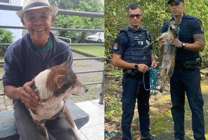 Cãozinho resgatado pela GCM de Cubatão é devolvido aos tutores
