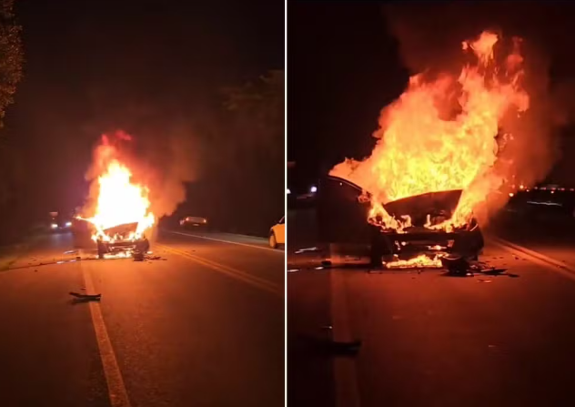 Veículo em chamas!: Carro freia para salvar animal e provoca acidente em Rodovia Rio-Santos