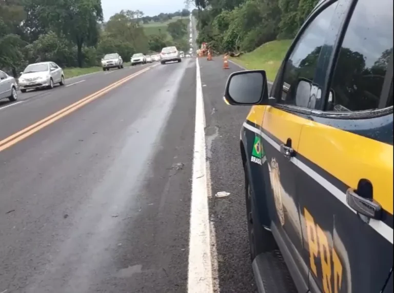 Homem morre após atropelar boi e colidir com árvore