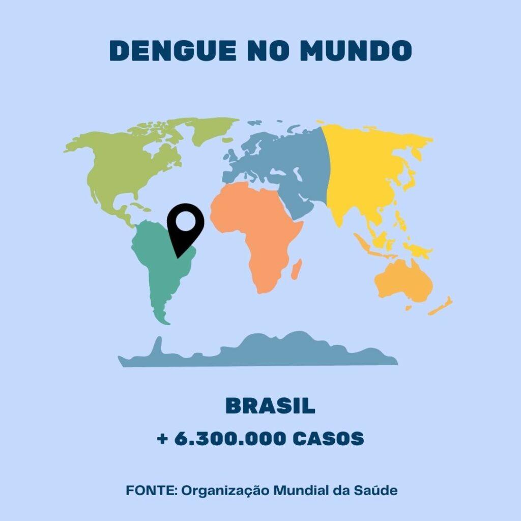 DENGUE BRASIL