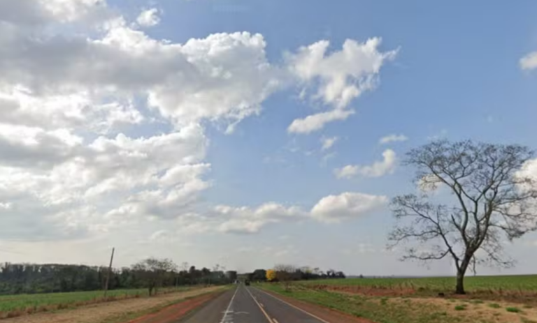 Boi da raça “Angus” morre atropelado na Rodovia Elieser Montenegro Magalhães em Araçatuba