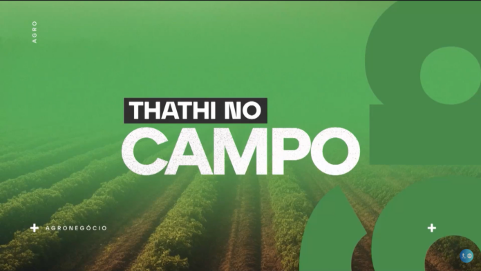 Tecnologia é aliada do setor agrícola e meio ambiente