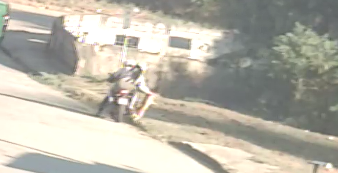 cachorra é abandonada em taubaté cachorra é abandonada em taubaté