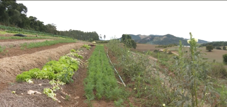 Conheça a fazenda de Paraibuna que cultiva alimentos orgânicos