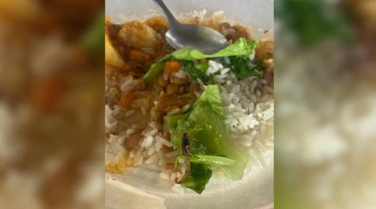 Escorpião é encontrado em merenda escolar no interior de SP