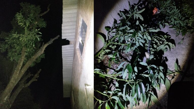 Idoso morre após cair do telhado da própria casa em Valinhos