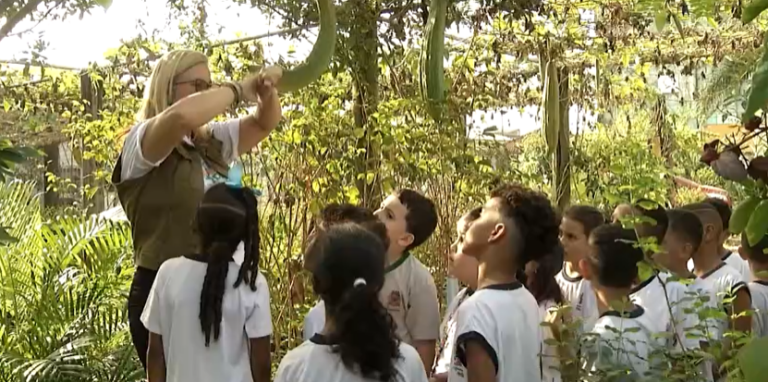 Alunos aprendem a plantar e descobrem a importância da preservação do Meio Ambiente em São Vicente