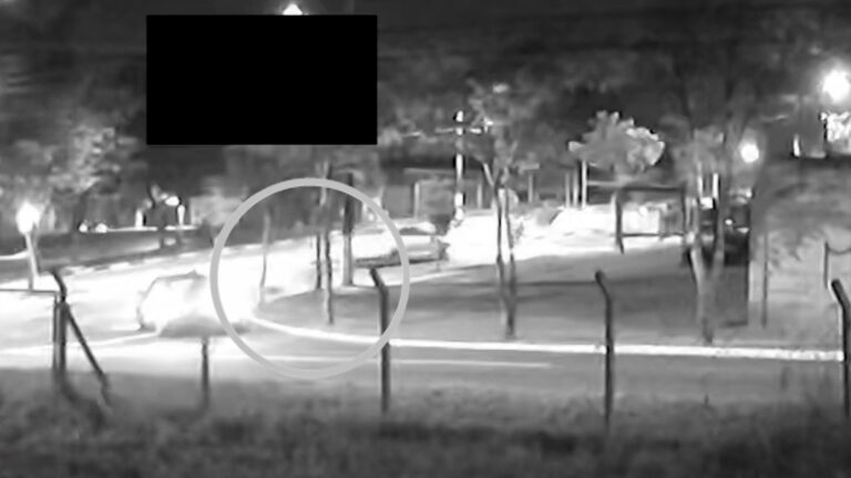 Catador de latinhas é atropelado e motorista foge sem prestar socorro