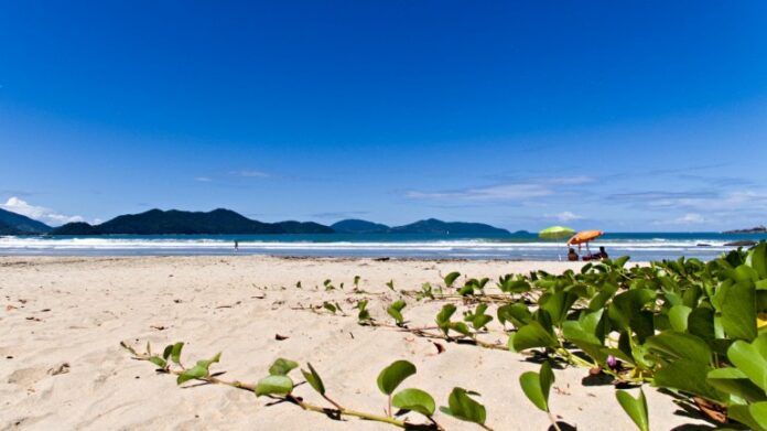 turista sp morre afogada ubatuba