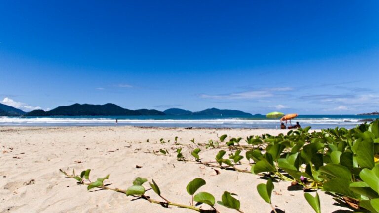 turista sp morre afogada ubatuba