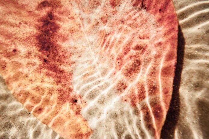 WhatsApp Image 2024-06-04 at 07.38.57