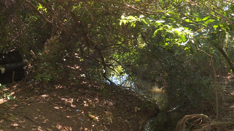 Mistério: corpo é encontrado ao lado a um córrego sem marcas de violência
