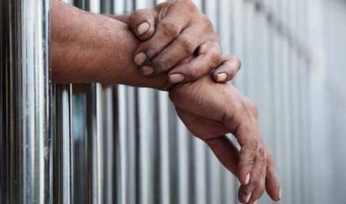 Homem é preso após esfaquear dois cães em Araçatuba