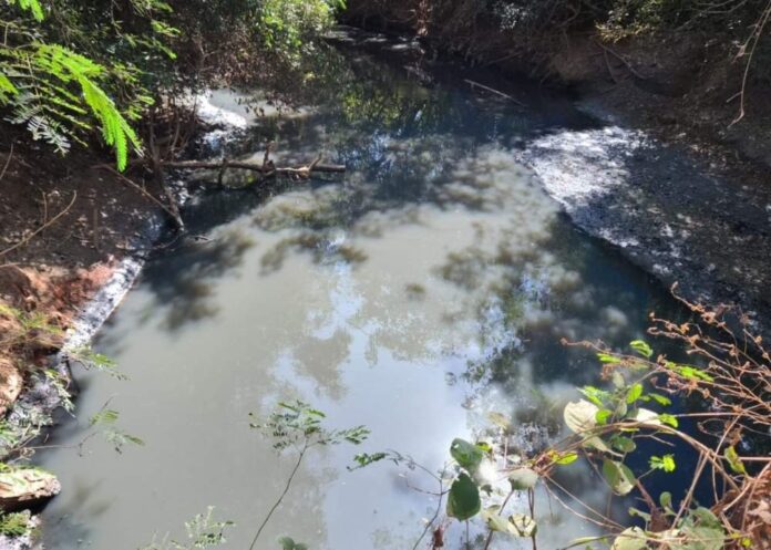 WhatsApp Image 2024-06-18 at 08.10.11