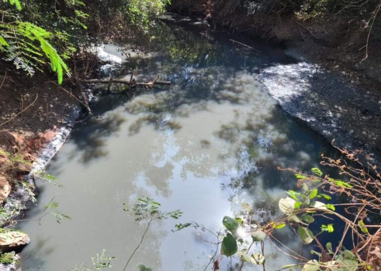 Vereadores denunciam despejo de esgoto não tratado em Birigui