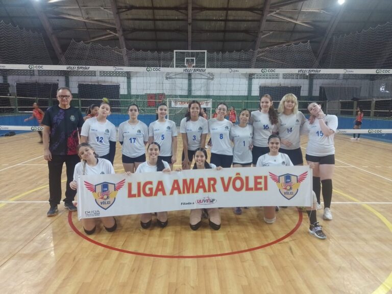Equipe de voleibol feminino de Araçatuba participa de festival da Liga Amar Vôlei em Birigui