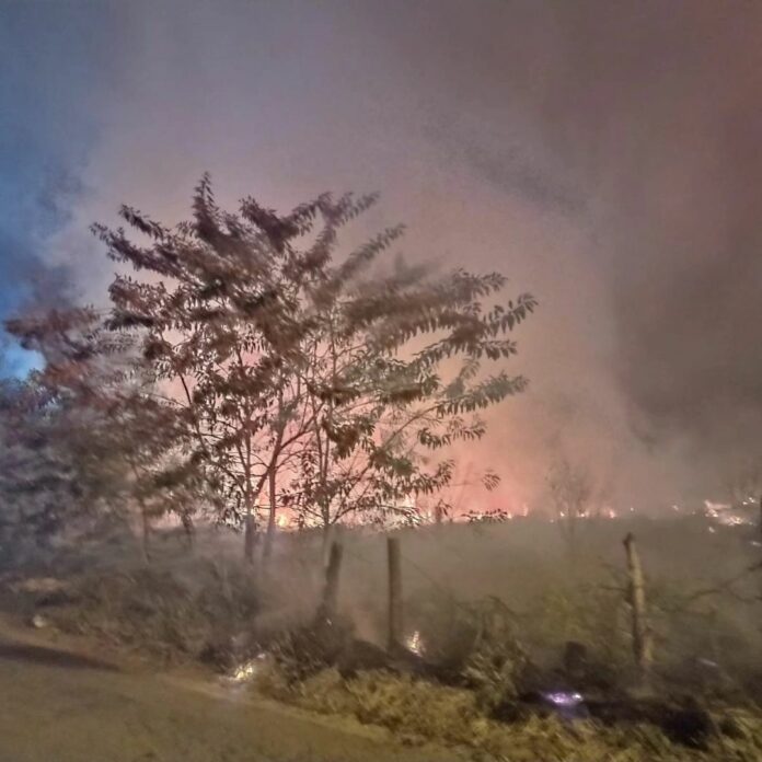 Dois incêndios atingem área de mata de 79 mil m² em Taubaté
